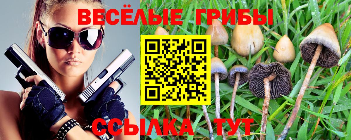 Луга  Галлюциногенные грибы Magic Shrooms  Вход с VPN 